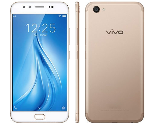   vivo Plus vivo